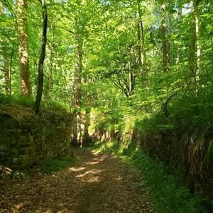 Meet your Posher, Tracey